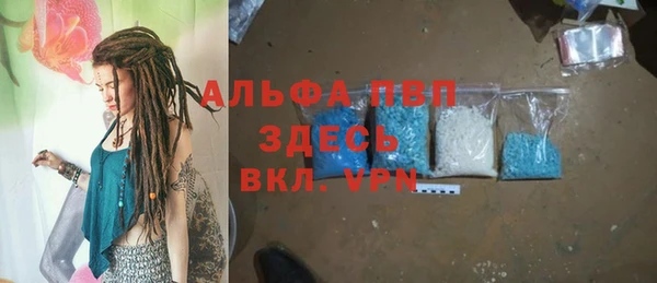 сатива Аркадак