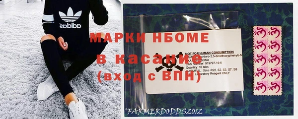 сатива Аркадак