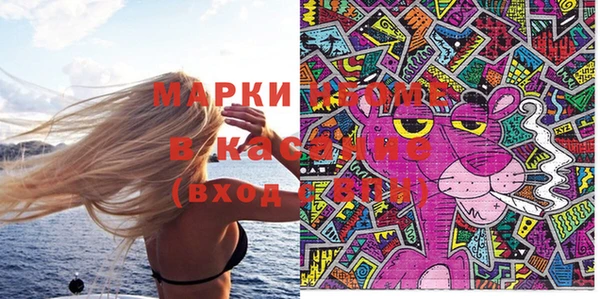 сатива Аркадак