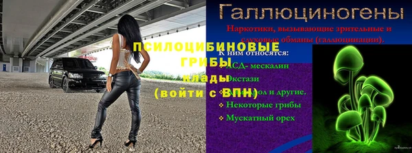 крисы Арсеньев